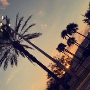 Meet your Posher, Julia